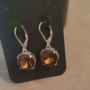 Elegant Silver and Brown Earrings